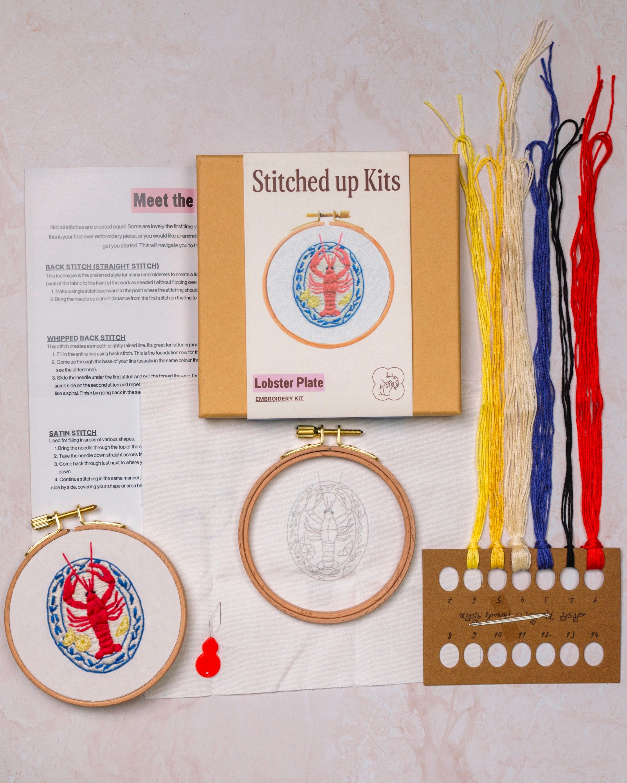 Embroidery kit with hoop, threads, and instructions on a light background