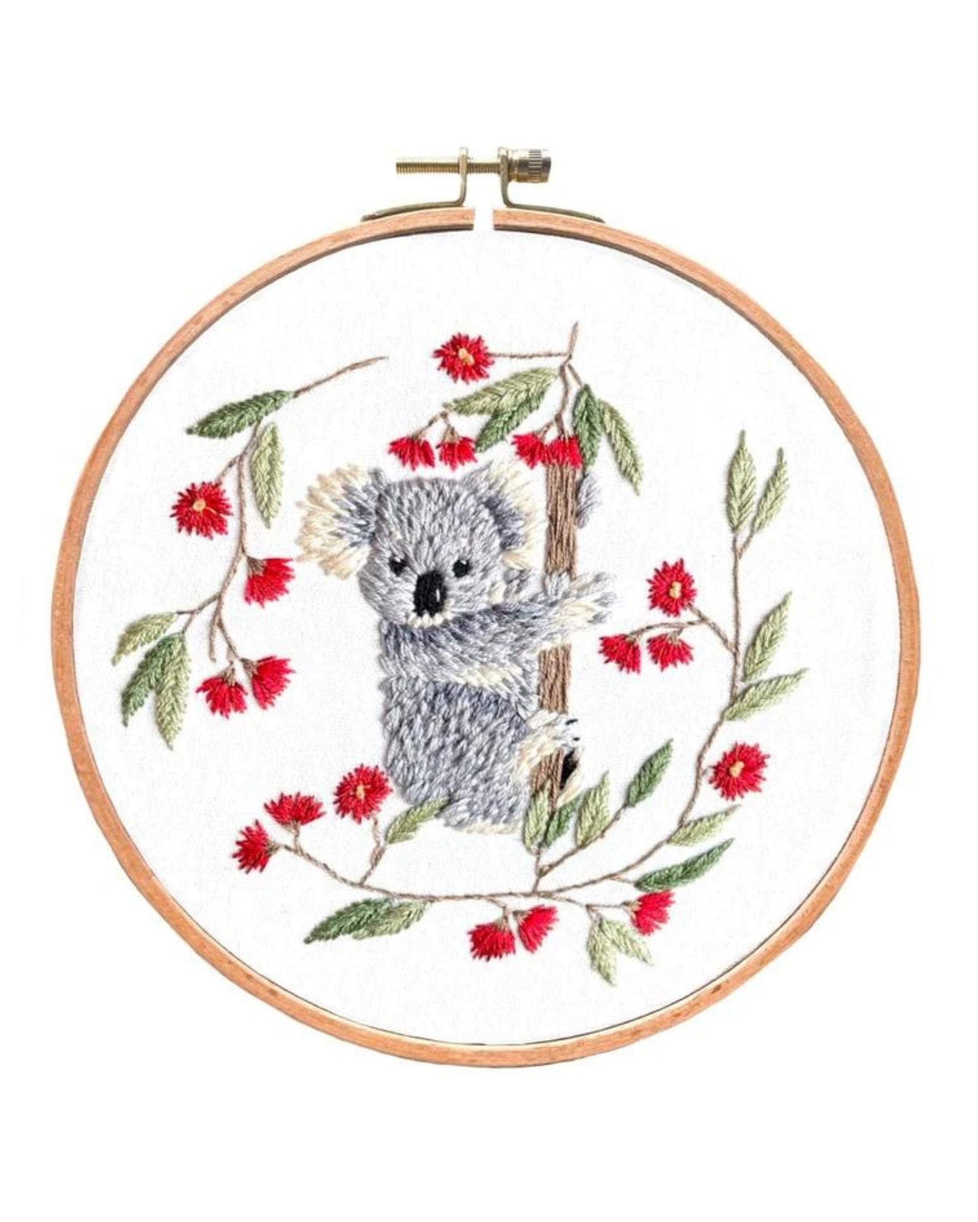 Baby Koala