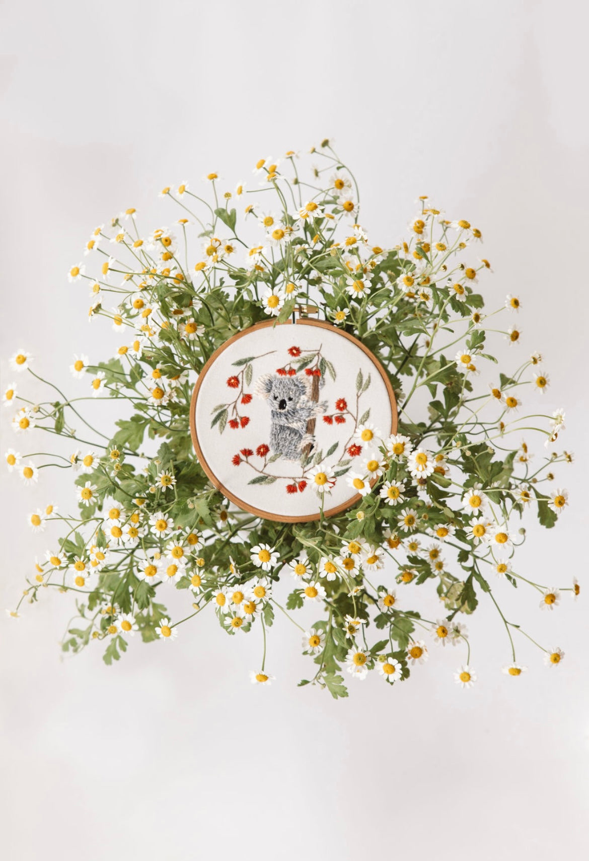 Hand-stitched embroidery of a koala surrounded by red flowers, framed and placed in a cluster of small yellow and white daisies